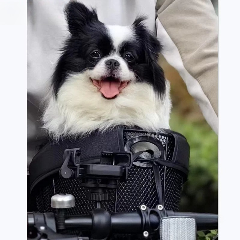 Vouwbare fietsmand voor honden - Mountain Biking With Dog recensie en prijs