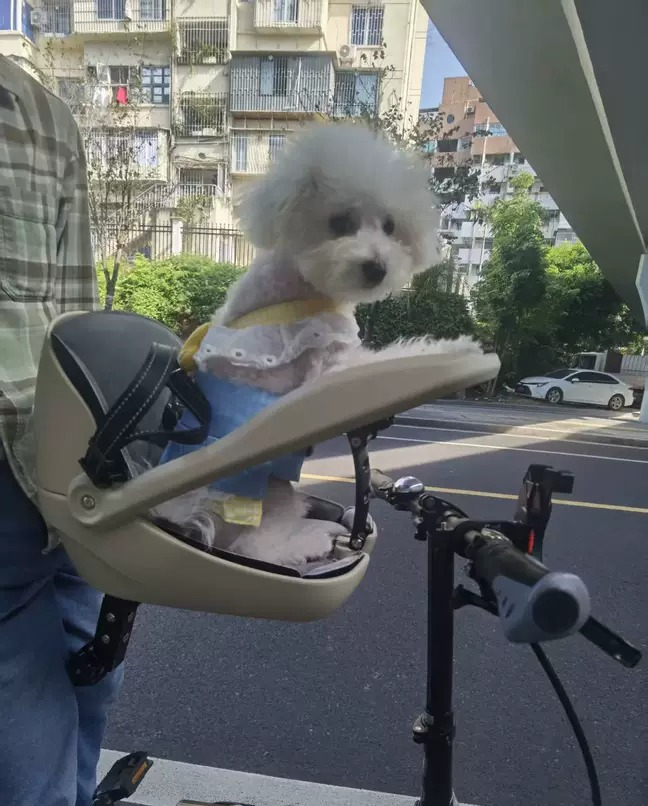 Geschikt voor vouwfietsen, mou - Mountain Biking With Dog recensie en prijs